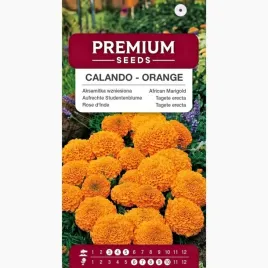 nasiona-aksamitka-karlowa-wzniesiona-calando-orange-premium-seeds-04-g