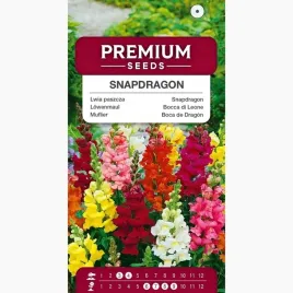 nasiona-lwia-paszcza-wysoka-mix-kwiaty-rabaty-doniczka-premium-seeds-1-g