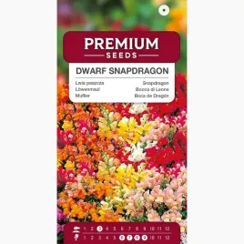 nasiona-lwia-paszcza-niska-karlowa-mix-kwiaty-doniczka-premium-seeds-05-g