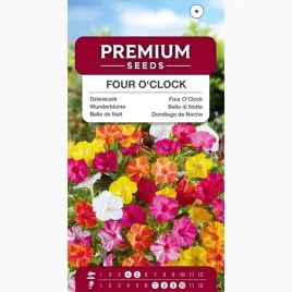 nasiona-dziwaczek-kolorowa-mieszanka-na-rabate-i-do-donic-premium-seeds-2g