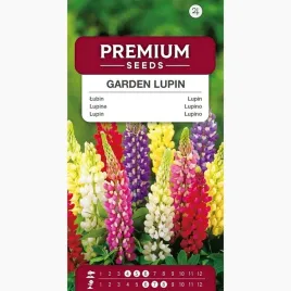 nasiona-lubin-trwaly-mieszanka-wieloletni-kwiaty-ogrod-premium-seeds-2-g