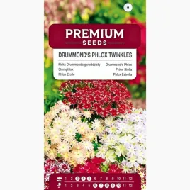 nasiona-floks-drummonda-gwiezdzisty-mieszanka-kolorow-premium-seeds-1-g