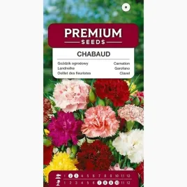 nasiona-gozdzik-ogrodowy-chabaud-mieszanka-kwiaty-ogrod-premium-seeds-05-g