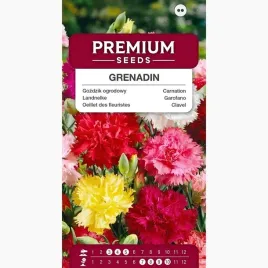 nasiona-gozdzik-ogrodowy-grenadin-kwiaty-doniczkowe-premium-seeds-05-g