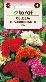 celozja-grzebieniasta-mix-nasiona-kwiatow-466-toraf