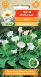 bielun-wspanialy-bialy-nasiona-kwiatow-465-toraf