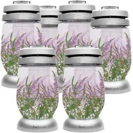 znicze-szklane-lampiony-na-grob-22-cm-bolsius-wrzos-z-wkladem-36h-6-sztuk