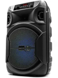 glosnik-mobilny-squeak-sq1006-30w-radio-fm-czarny-squeak