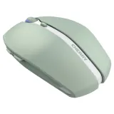 cherry-gentix-bt-agave-green