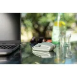 cherry-gentix-bt-agave-green