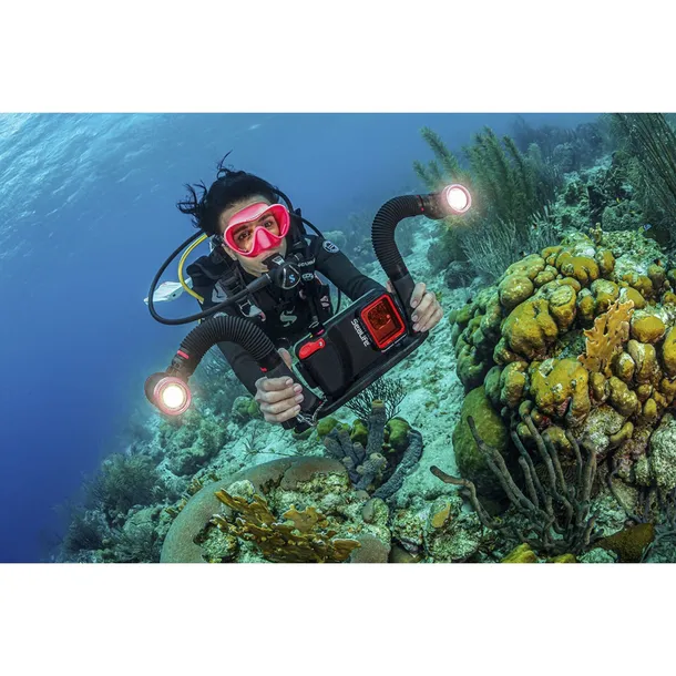 sealife-flex-connect-flex-arm-sl9901