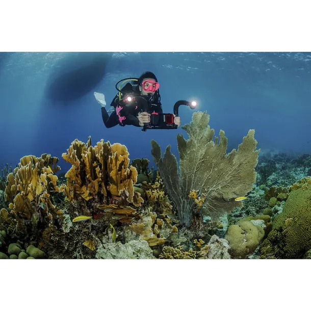 sealife-flex-connect-flex-arm-sl9901
