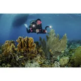 sealife-flex-connect-flex-arm-sl9901