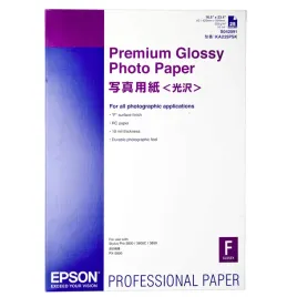 epson-premium-glossy-photo-paper-a-2-25-kartek-255-g-s-042091