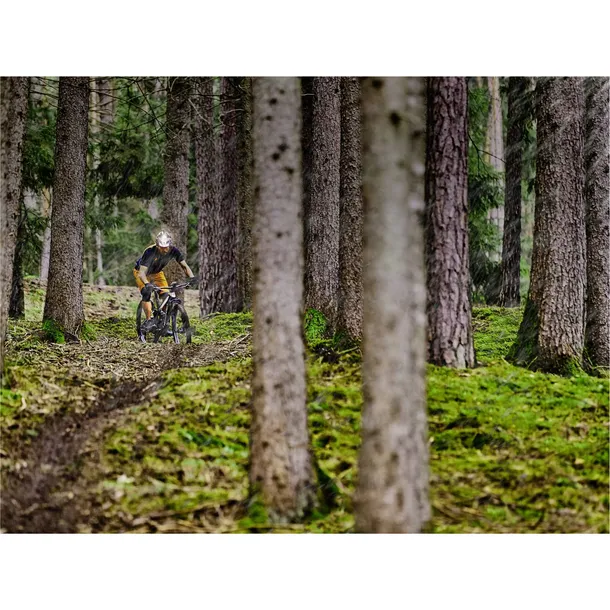 garmin-varia-ut-800-trail-edition