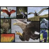 ambassador-birds-1000-pieces