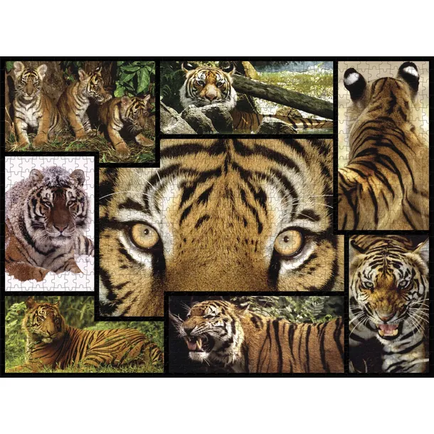 ambassador-tiger-1000-pieces
