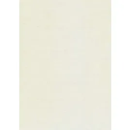 karton-wizytowkowy-a4-246g-kreska-20-arkuszy-w36-plotno-ecrue-kreska