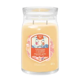 yankee-candle-signature-duza-swieca-w-sloiku-slopeside-spritz-567g