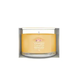 yankee-candle-signature-mini-swieca-w-sloiku-slopeside-spritz-37g