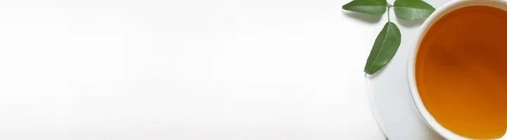 czajnik-zelmer-zck8024-kod-producenta-zck8024