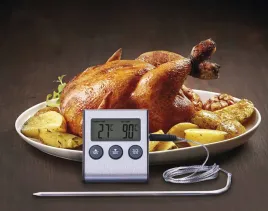 termometr-z-sonda-kuchenny-emos