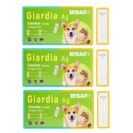test-or-giardia-lamblia-gia-or-dla-psa-i-kota-or-probka-kalu-or-3-sztuki