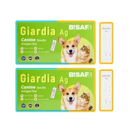 test-or-giardia-lamblia-gia-or-dla-psa-i-kota-or-probka-kalu-or-2-sztuki
