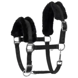 k-kantar-start-foal-mink-na-zrebie-black-foal-0-czarny