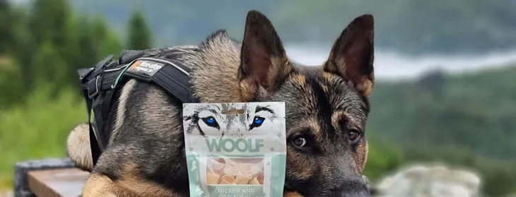 woolf-lamb-chunkies-100g-treserki-marka-woolf