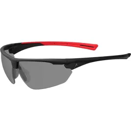 okulary-ochronne-ace-evo-work-goggles-anti-fog-przyciemniana