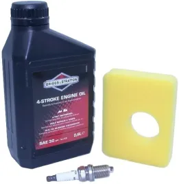 filtr-briggs-olej-swieca-799579-450-e-500-e-bands