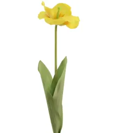 tulipan-rozwiniety-zolty-sp