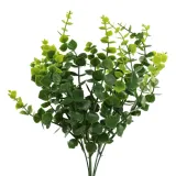 bukiecik-eukaliptus-x5-sp