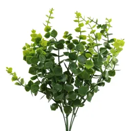 bukiecik-eukaliptus-x5-sp