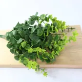 bukiecik-eukaliptus-x5-sp-stan-nowy