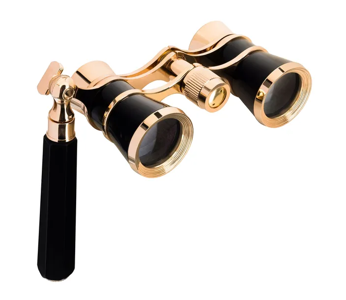 lorgnon-levenhuk-broadway-325e-kod-producenta-81864