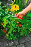 sekator-kowadelkowy-wolf-garten-rs-2500-stan-nowy-zasilanie-reczne