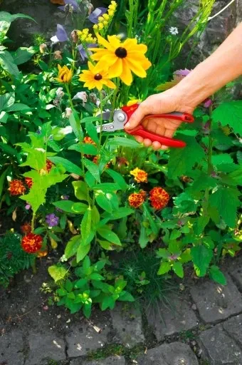 sekator-kowadelkowy-wolf-garten-rs-2500