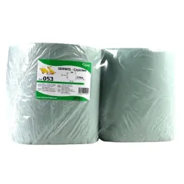 recznik-papierowy-czysciwo-zielone-makulatura-2-rolki