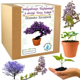 prezent-na-dzien-kobiet-drzewko-szczescia-bonsai-kwiatek-dla-dziewczyny