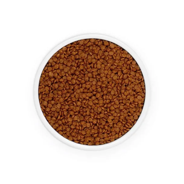 eminent-kitten-34-20-2-kg-wiek-zwierzecia-kocieta-i-mlode-koty