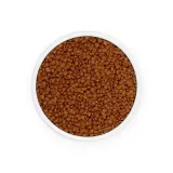 eminent-kitten-34-20-2-kg-wiek-zwierzecia-kocieta-i-mlode-koty