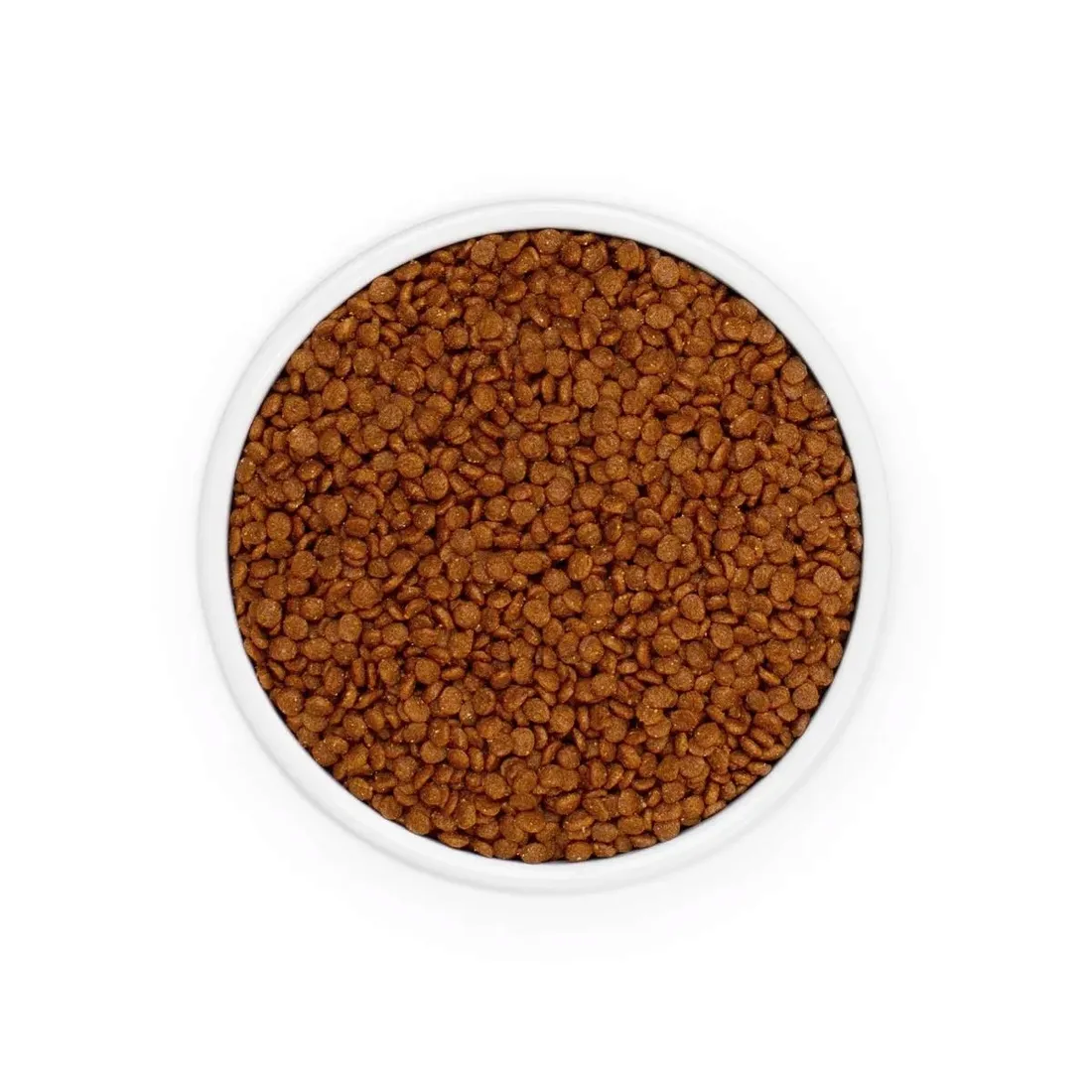 eminent-kitten-34-20-2-kg-wiek-zwierzecia-kocieta-i-mlode-koty