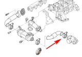 zaslepka-zaworu-egr-bmw-e46-e60-e61-3-0-d-m57n-jakosc-czesci-zgodnie-z-gvo-q-oryginal-z-logo-producenta-czesci-oem-oes