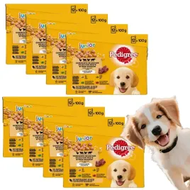 pedigree-karma-mokra-saszetki-100gx96-junior-giga-pakiet