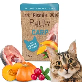 fitmin-karma-kot-saszetka-karp-z-dynia-w-bulionie-100g