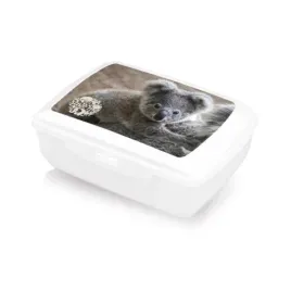 pojemnik-sniadaniowy-sniadaniowka-lunch-box-13l