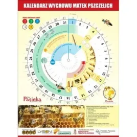 kalendarz-do-wychowu-matek-pszczelich