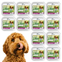 raw-paleo-lamb-pate-mini-adult-alu-tray-12x150g